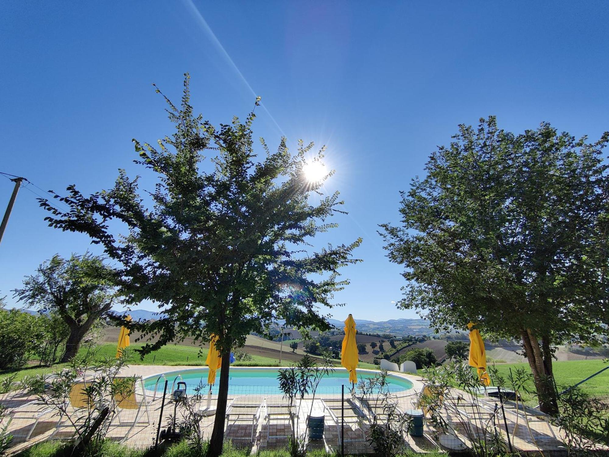 Rustico Del Bozzo Guest House Castelleone di Suasa Екстериор снимка