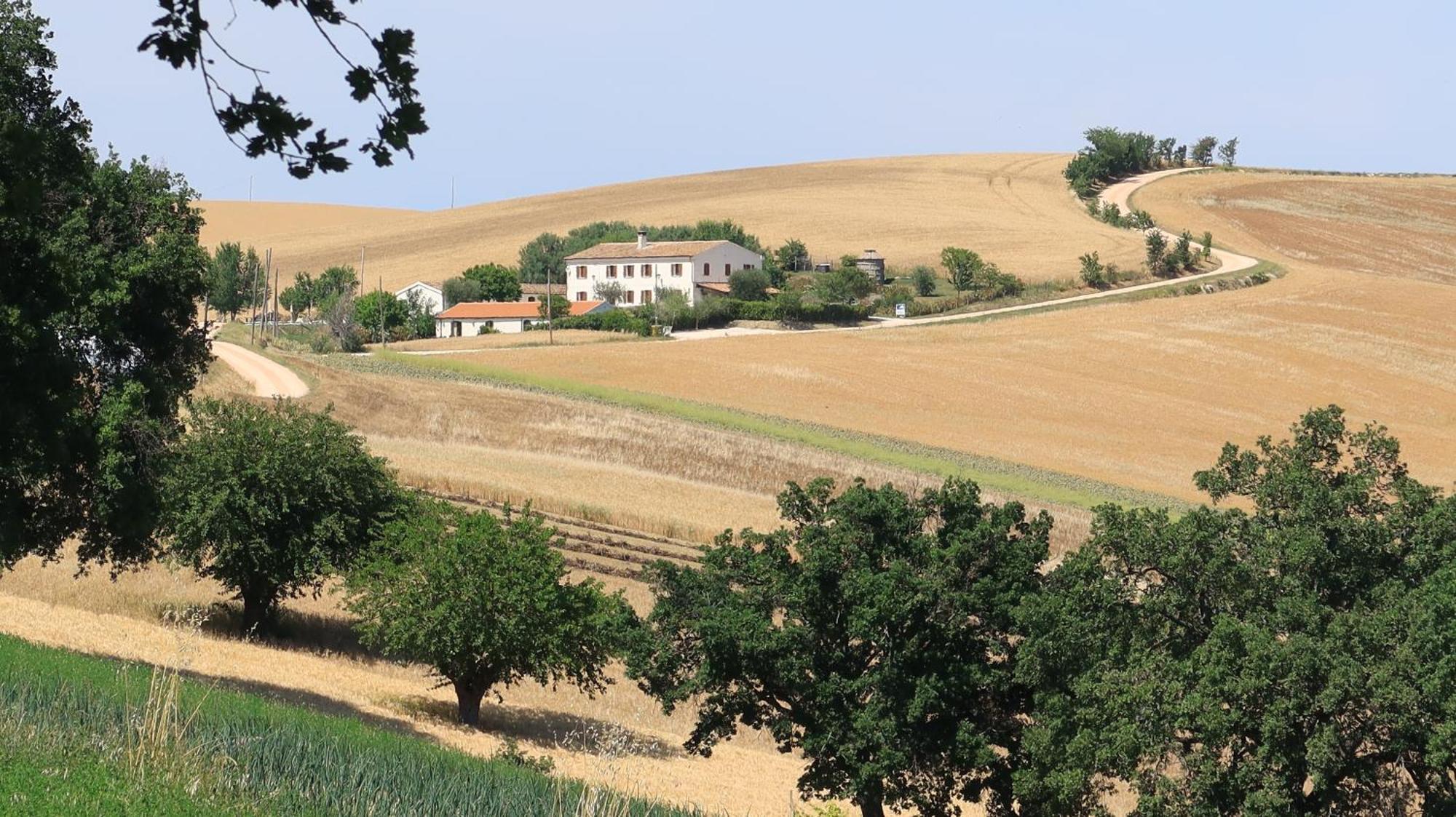 Rustico Del Bozzo Guest House Castelleone di Suasa Екстериор снимка
