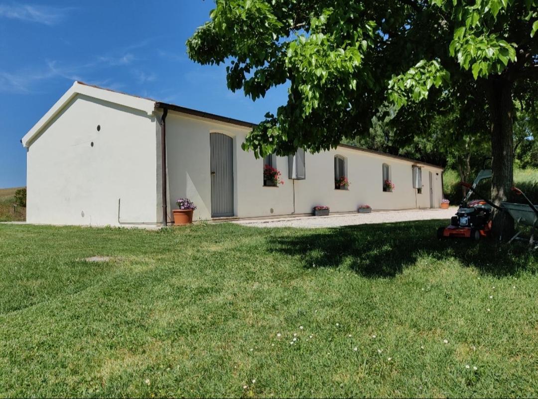 Rustico Del Bozzo Guest House Castelleone di Suasa Екстериор снимка